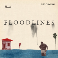 31) Floodlines